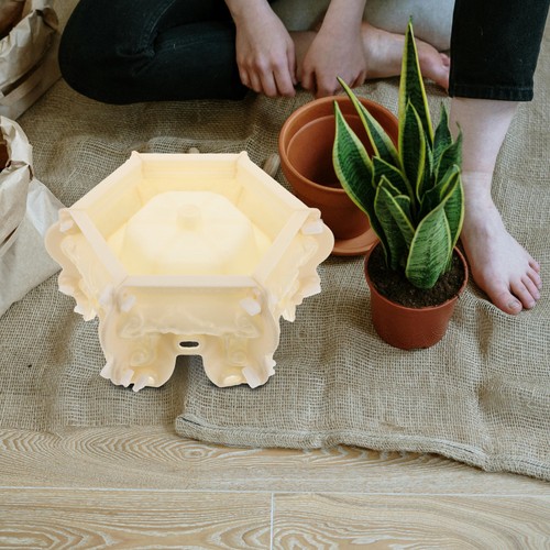 Durable reusable plastic mold - plastic,
